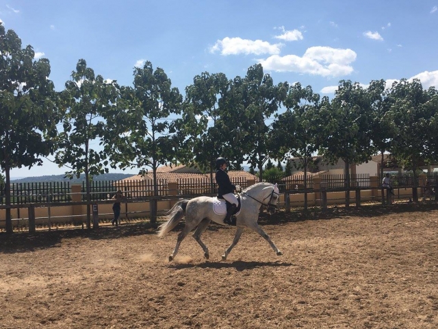  Aula de introdução à equitação em Benidorm 