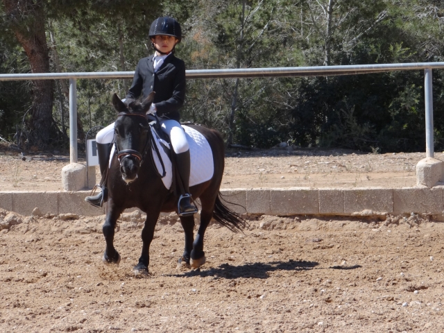  Centro equestre em Albir 
