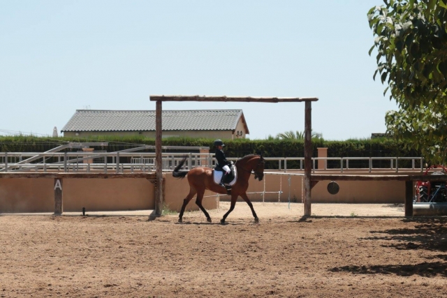  Aprenda a andar a cavalo em Albir 