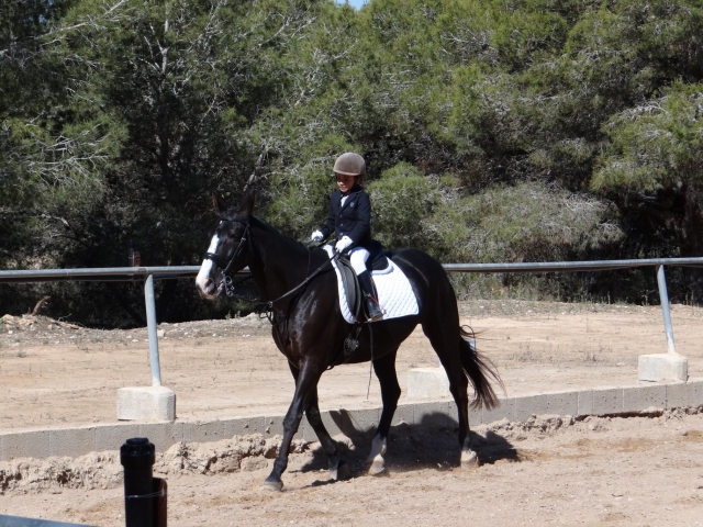  Centro equestre em Albir 