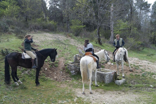  The importance of hydration for horses 