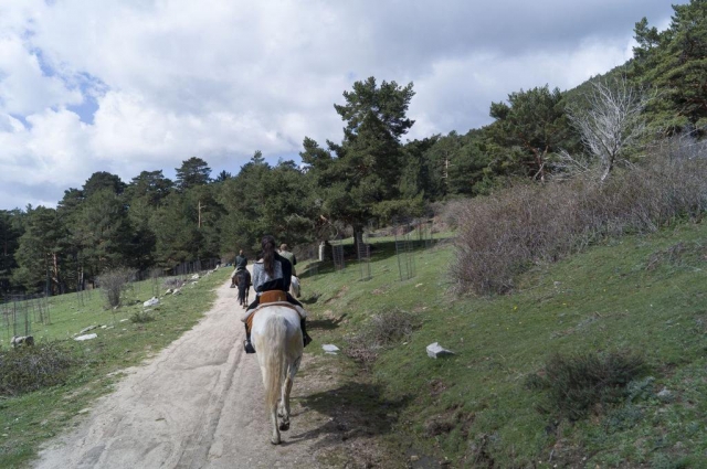  Trotting along the natural trails of Guadarrama 