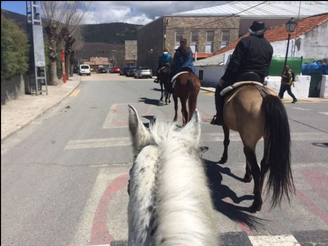  Getting to know towns in the Madrid mountains on horseback 