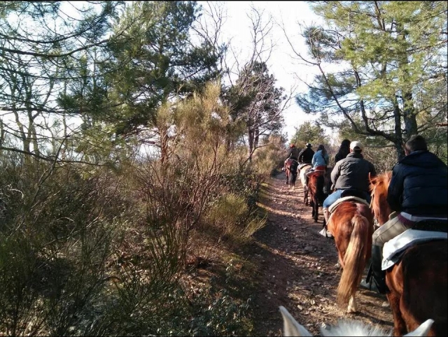  Horseback riding excursion by Guadarrama 