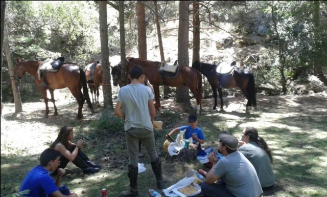  Picnic in the mountains with the horses 