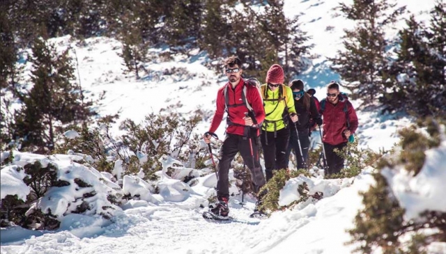  Snowshoe excursion 