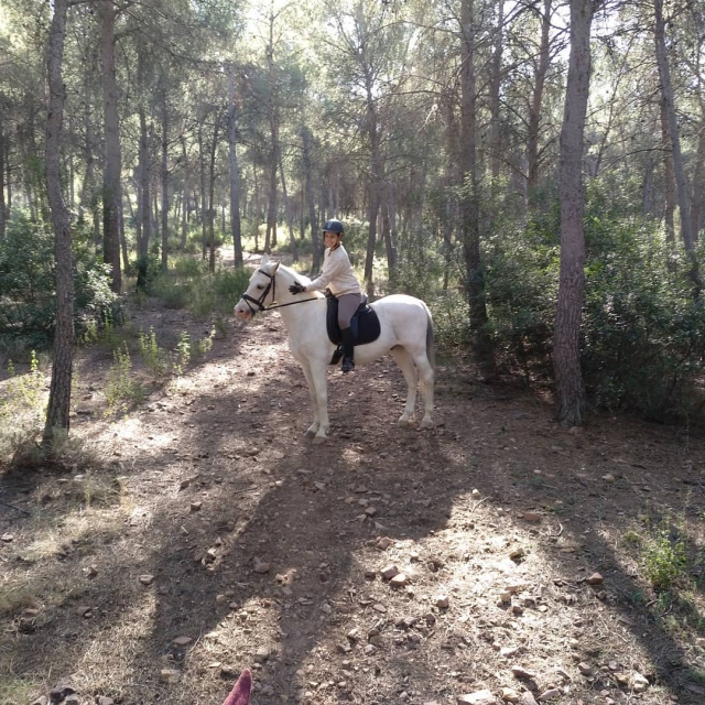 Bajo la arboleda sobre el caballo