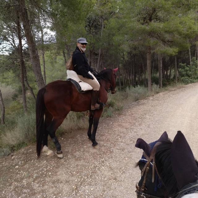 Siguiendo al experto con los caballos