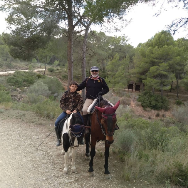 Sobre los caballos en el bosque