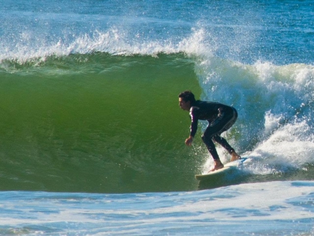 Surfeando la ola