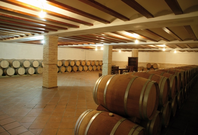 Visitando las cubas de la bodega
