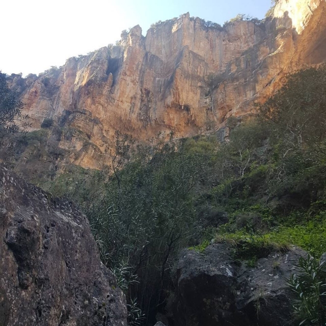 Parte del sendero en la sierra de Cádiz