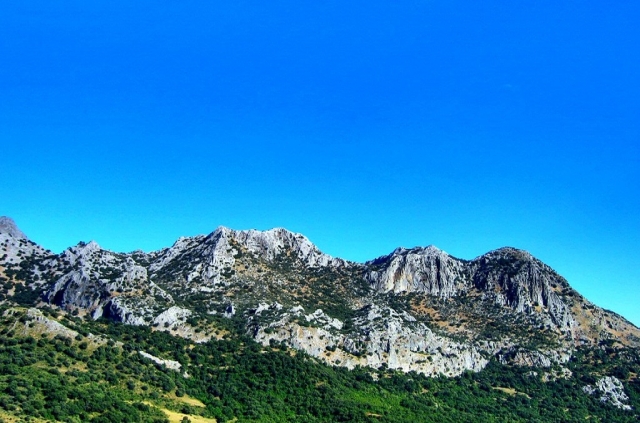Parque natural de la Sierra de Grazalema