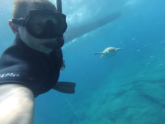 e-19754472-admirando-la-fauna-del-mar15802199703662.jpg