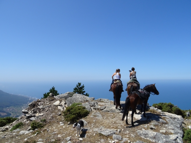 Ascendiendo la ladera con los caballos