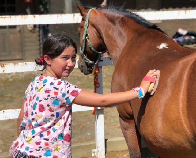 Limpiando al caballo del campamento