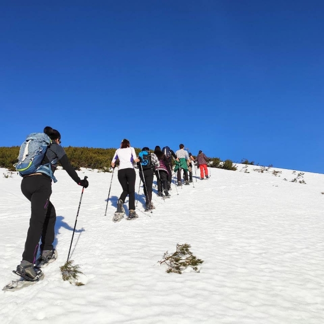  Advancing through the snow with snowshoes 