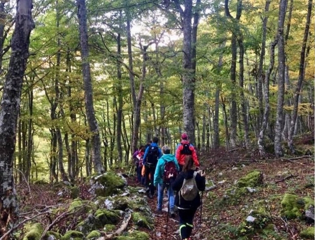  Trekking in the best Asturian environment 