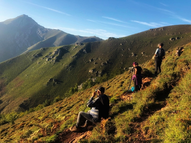  Photographing the rut in Asturias 