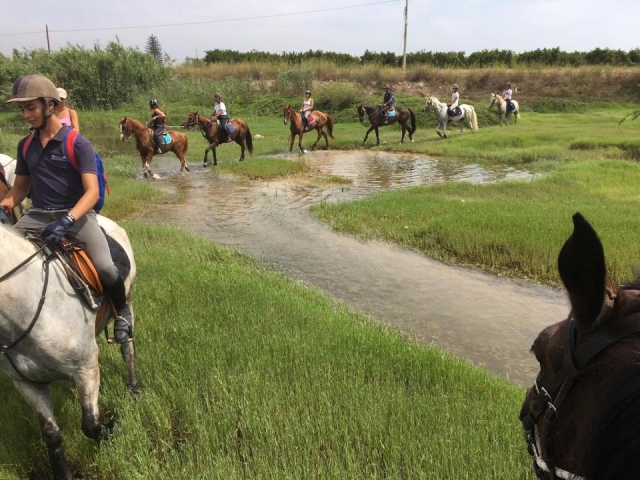 Junto a la ribera del río con los caballos
