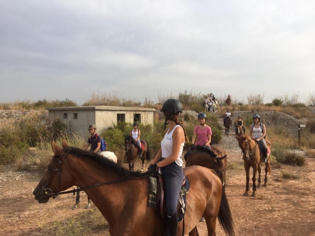 Avanzando en grupo sobre los caballos