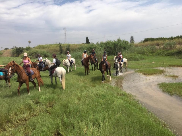 Rutas ecuestres por Burriana