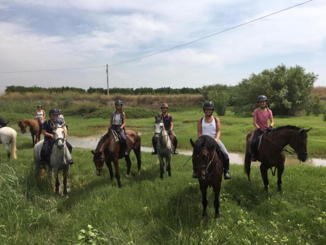Paseo a caballo por el interior de Castellón
