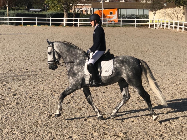  Reitunterricht in Madrid 