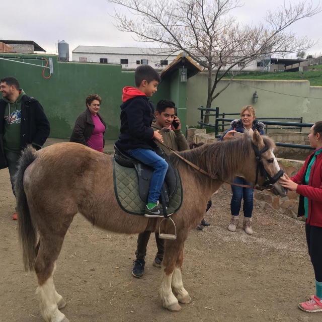 Erster Kontakt mit dem Pony 