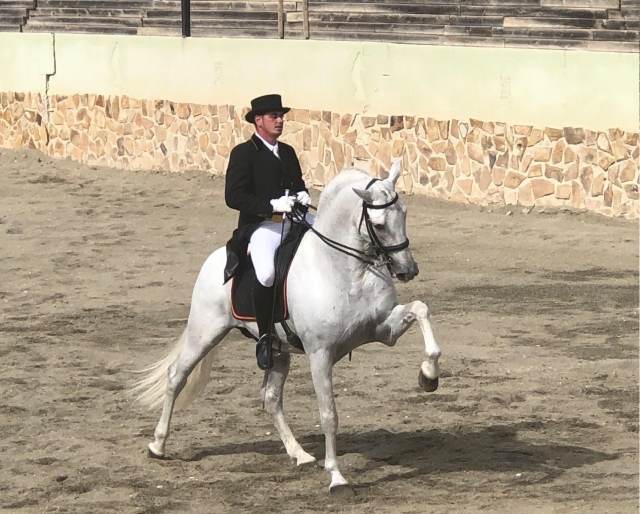  Klassisches Dressurreiten in Madrid 