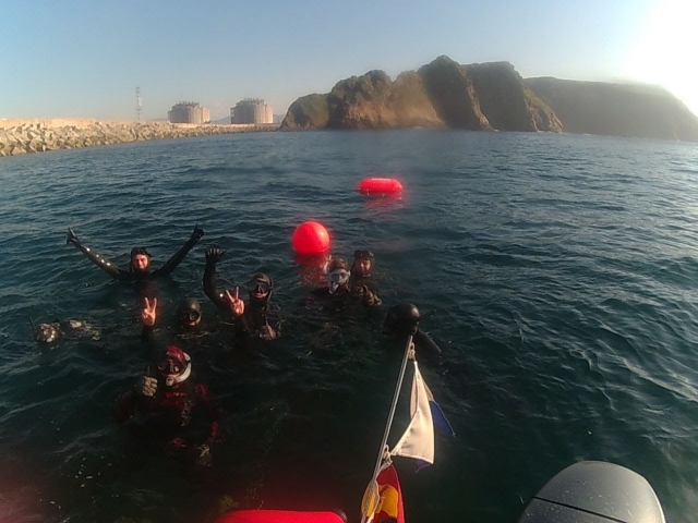  沼泽地钓鱼日