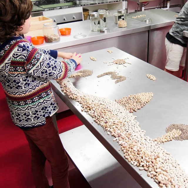 Trabajando con los alimentos en el campamento