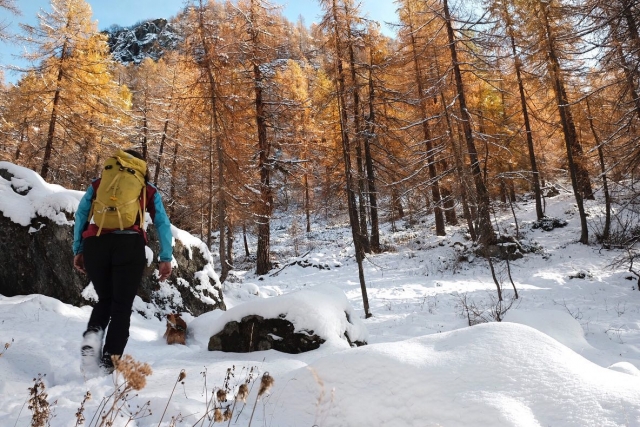 Passeios com raquetes de neve no norte 
