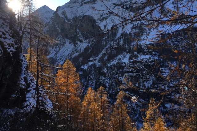  As mais belas paisagens para explorar com raquetes de neve