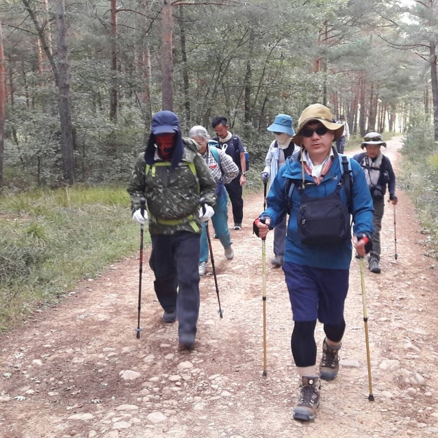  Grupo de caminhantes rumo a Santiago de Compostela
