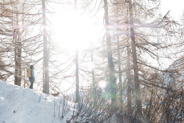  Deixando-se levar pelo sol e pela neve com raquetes de neve