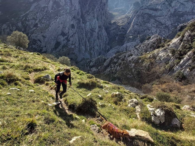  Caminhada na Cordilheira Cantábrica com o cão 