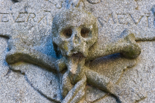  Le fughe più intriganti