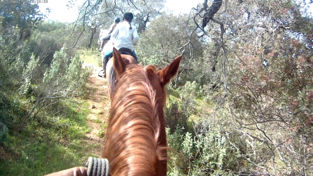  Le long des sentiers à cheval 