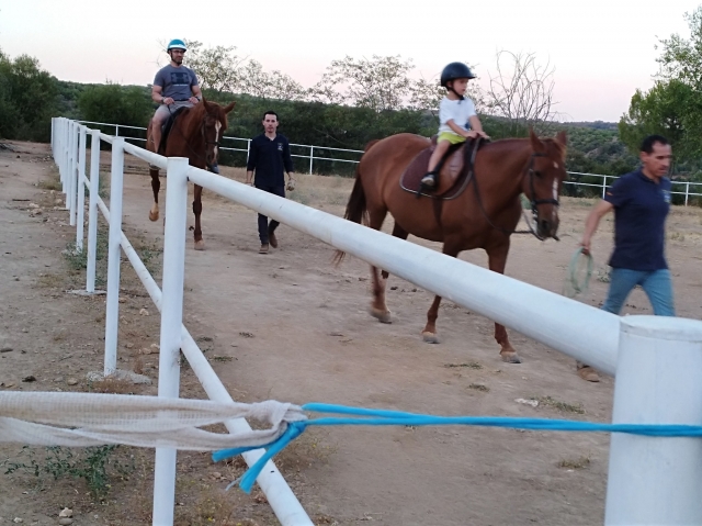  Sur les chevaux et avec les professeurs d'équitation 