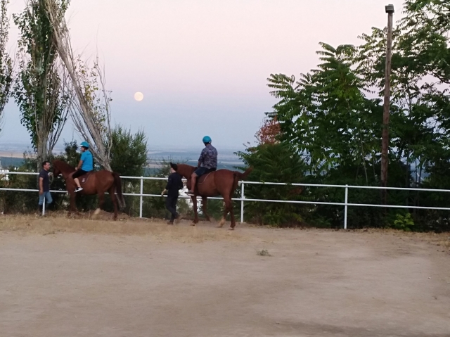  Cours d'équitation avec la lune 