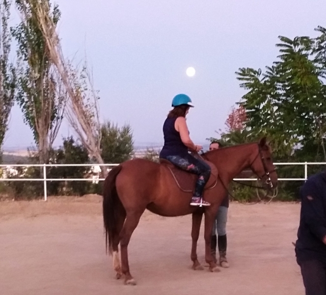  Apprentissage de l'équitation techniques 