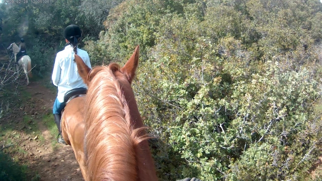  À cheval à travers la Sierra Morena 