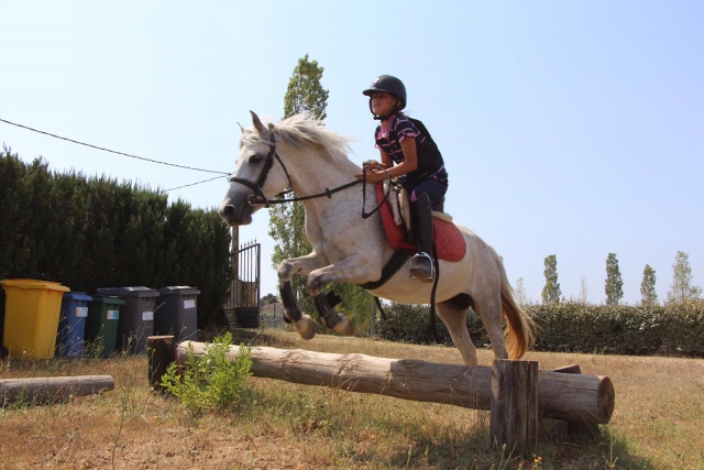 Saltando con maestría sobre el caballo el obstáculo