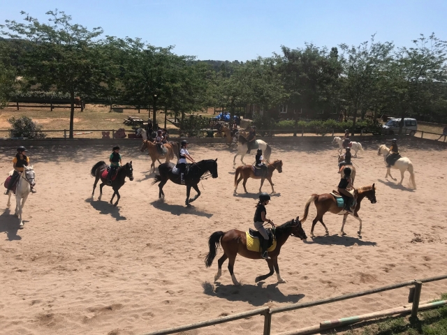 Todos en la pista sobre sus caballos