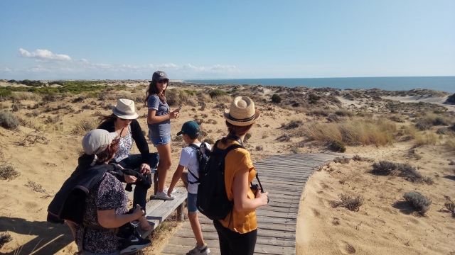  Visita delle dune di Doñana