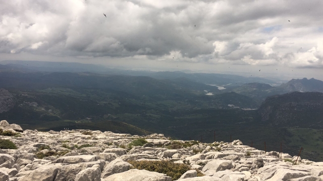  The best view of the mountains 
