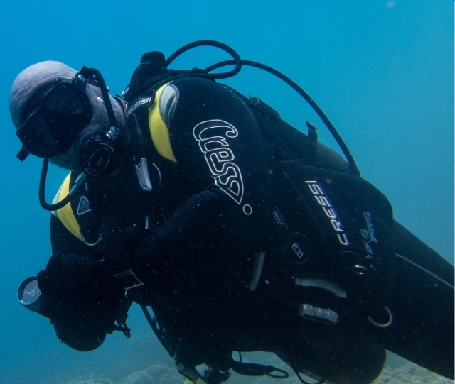  Diver during the dive 
