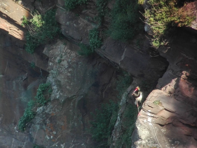  Barranco en el Jerte 