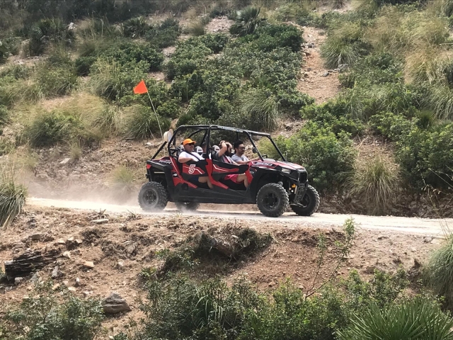Levantando polvo con el buggy